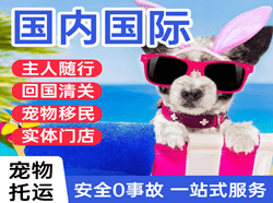 王村机场邮寄国际宠物托运 【国